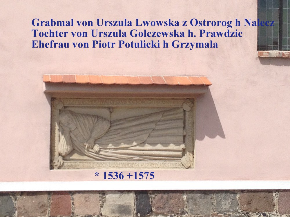 Urszula Lwowska z Ostroroga * 1536
